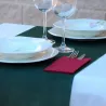 Manteles desechables 120x180m color abeto